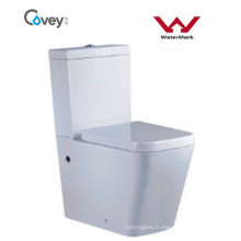 Watermark Washdown Water Closet avec P-Trap180mm Roughing-in (A-2051A)